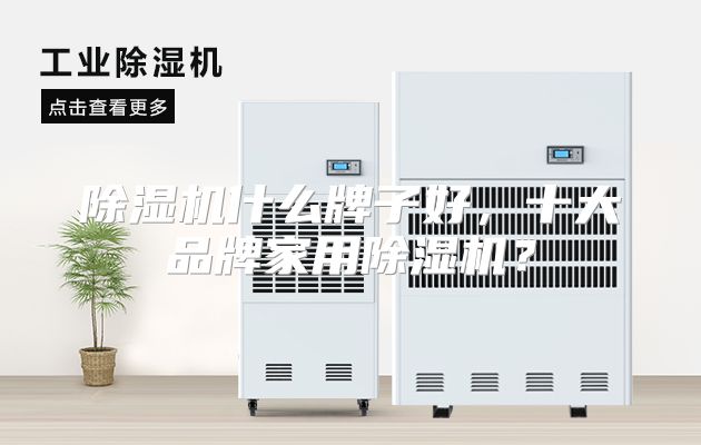 除湿机什么牌子好,十大品牌家用除湿机?