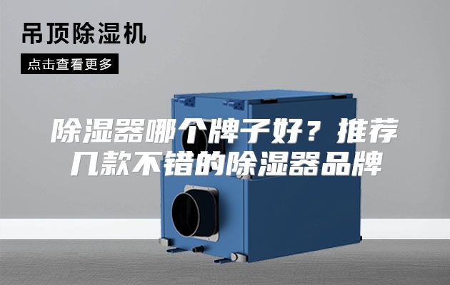 除湿器哪个牌子好？推荐几款不错的除湿器品牌