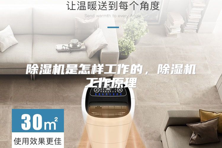 除湿机是怎样工作的,除湿机工作原理