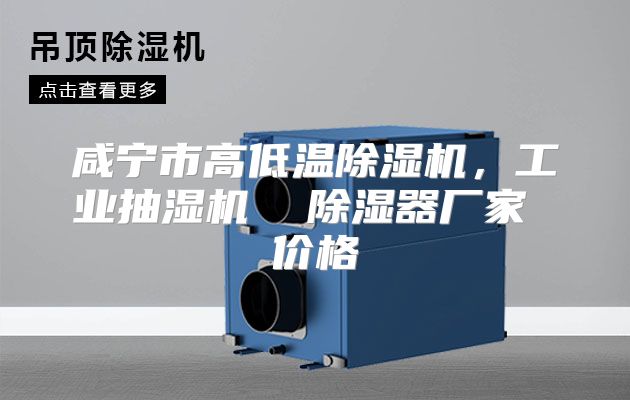 咸宁市高低温除湿机,工业抽湿机 除湿器厂家 价格