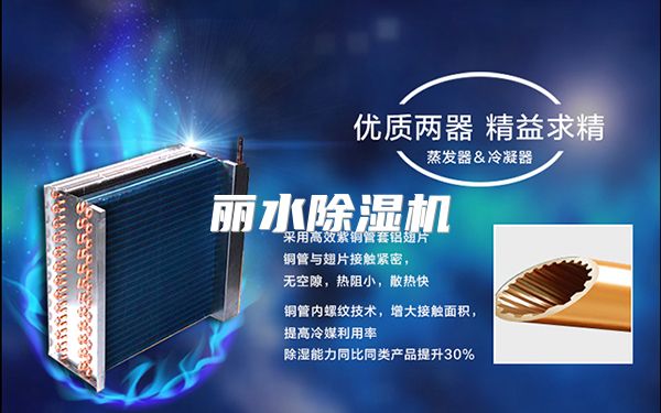 丽水除湿机