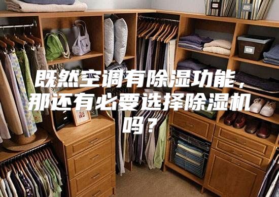 既然空调有除湿功能，那还有必要选择除湿机吗？