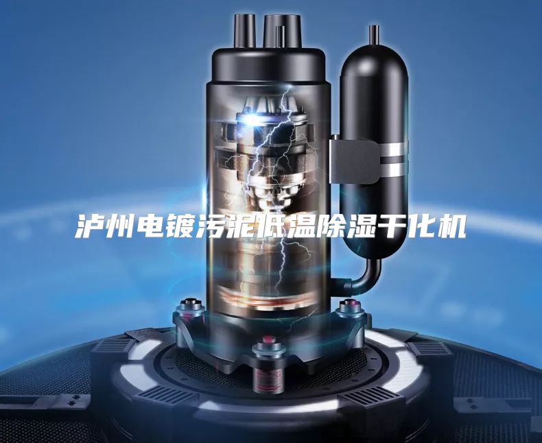 泸州电镀污泥低温除湿干化机