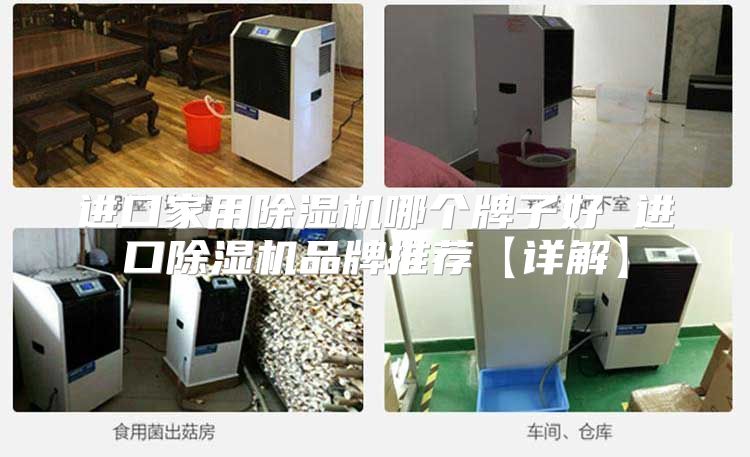 进口家用除湿机哪个牌子好 进口除湿机品牌推荐【详解】