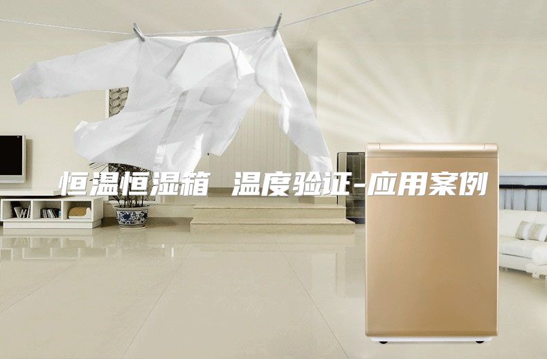 恒温恒湿箱 温度验证-应用案例