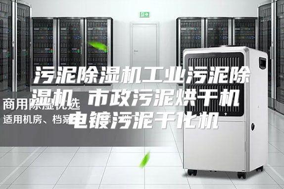 污泥除湿机工业污泥除湿机 市政污泥烘干机 电镀污泥干化机