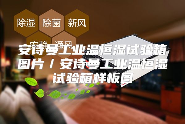 安诗曼工业温恒湿试验箱图片／安诗曼工业温恒湿试验箱样板图