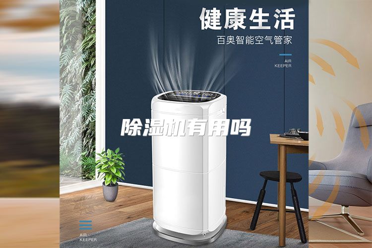 除湿机有用吗