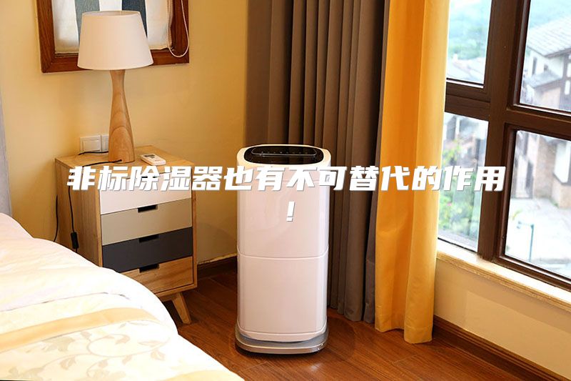 非标除湿器也有不可替代的作用！