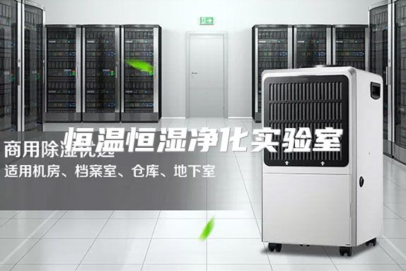 恒温恒湿净化实验室