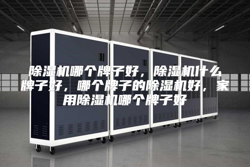除湿机哪个牌子好,除湿机什么牌子好,哪个牌子的除湿机好,家用除湿机哪个牌子好