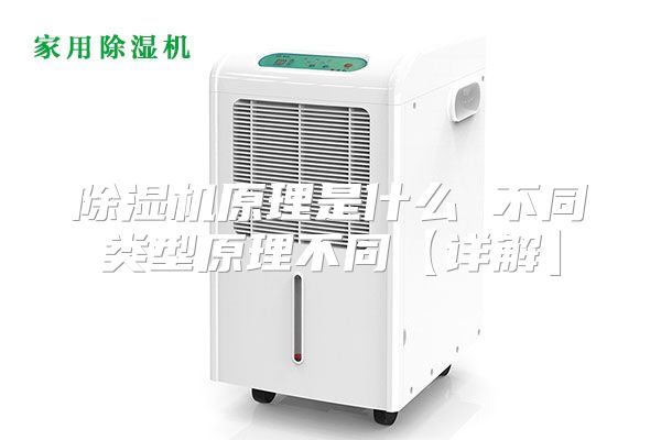 除湿机原理是什么 不同类型原理不同【详解】