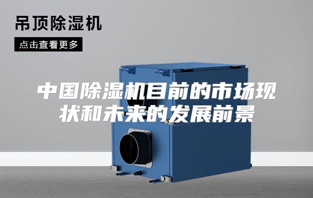 中国除湿机目前的市场现状和未来的发展前景