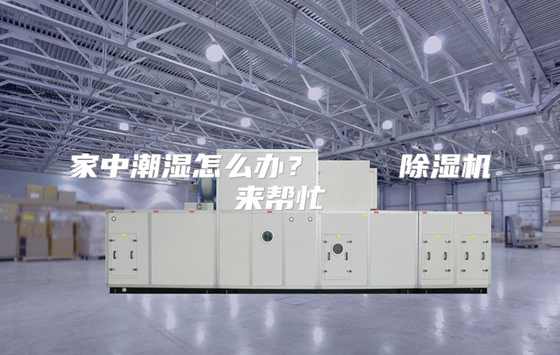 家中潮湿怎么办？    除湿机来帮忙