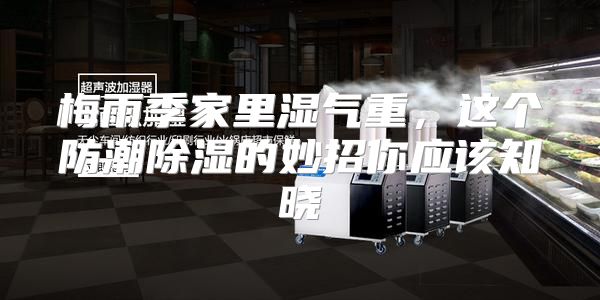 梅雨季家里湿气重,这个防潮除湿的妙招你应该知晓