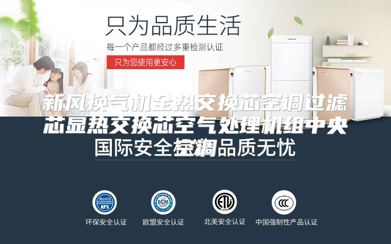 新风换气机全热交换芯空调过滤芯显热交换芯空气处理机组中央空调