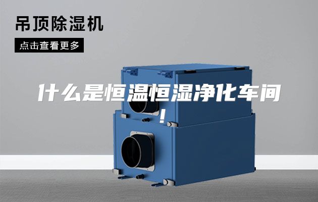 什么是恒温恒湿净化车间！