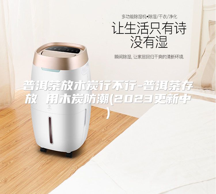 普洱茶放木炭行不行-普洱茶存放 用木炭防潮(2023更新中)