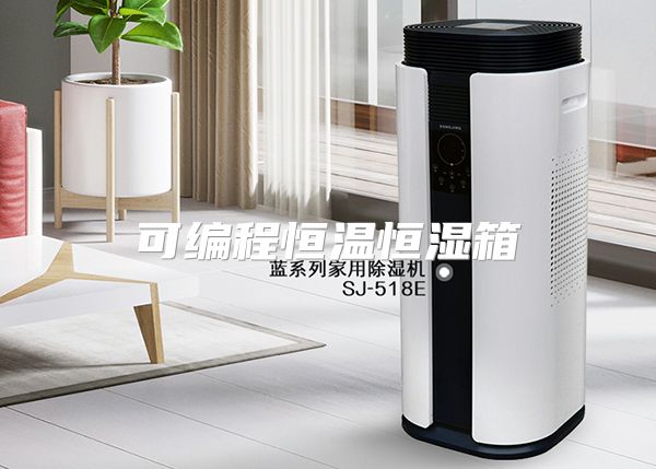 可编程恒温恒湿箱