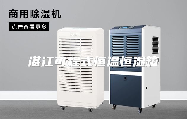 湛江可程式恒温恒湿箱