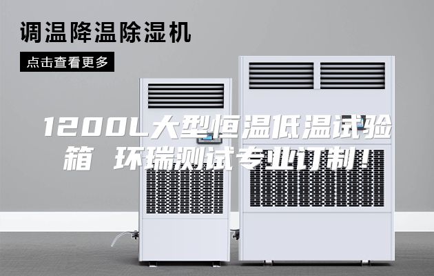 1200L大型恒温低温试验箱 环瑞测试专业订制！