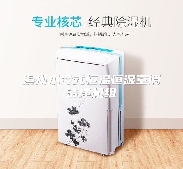 滨州水冷式恒温恒湿空调洁净机组