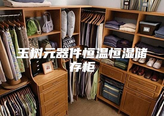 玉树元器件恒温恒湿储存柜