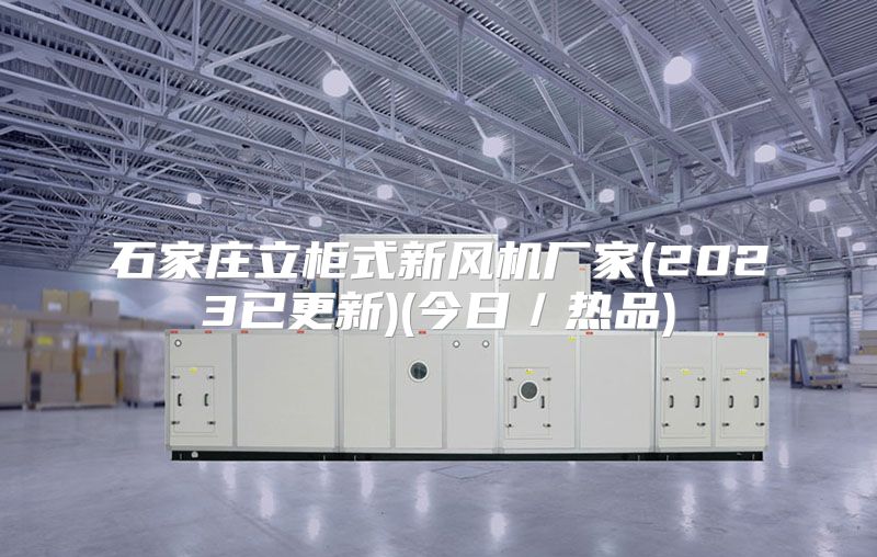 石家庄立柜式新风机厂家(2023已更新)(今日／热品)