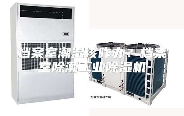 档案室潮湿该咋办？档案室除潮工业除湿机