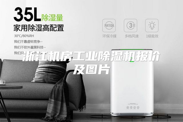 浙江机房工业除湿机报价及图片