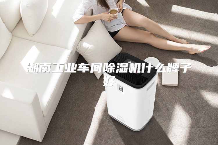 湖南工业车间除湿机什么牌子好