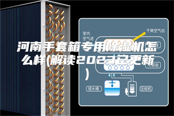 河南手套箱专用除湿机怎么样(解读2023已更新)