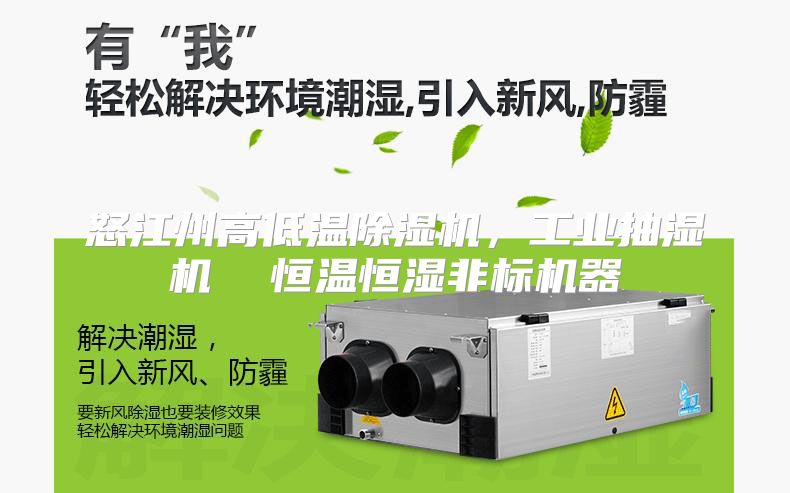 怒江州高低温除湿机，工业抽湿机  恒温恒湿非标机器