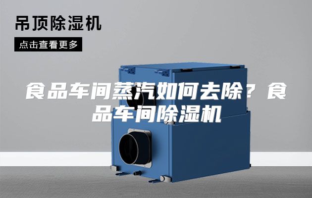 食品车间蒸汽如何去除？食品车间除湿机