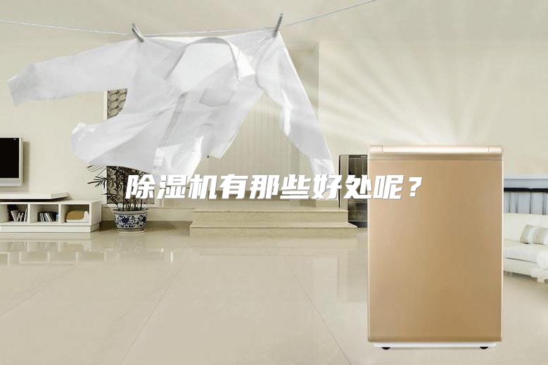 除湿机有那些好处呢？