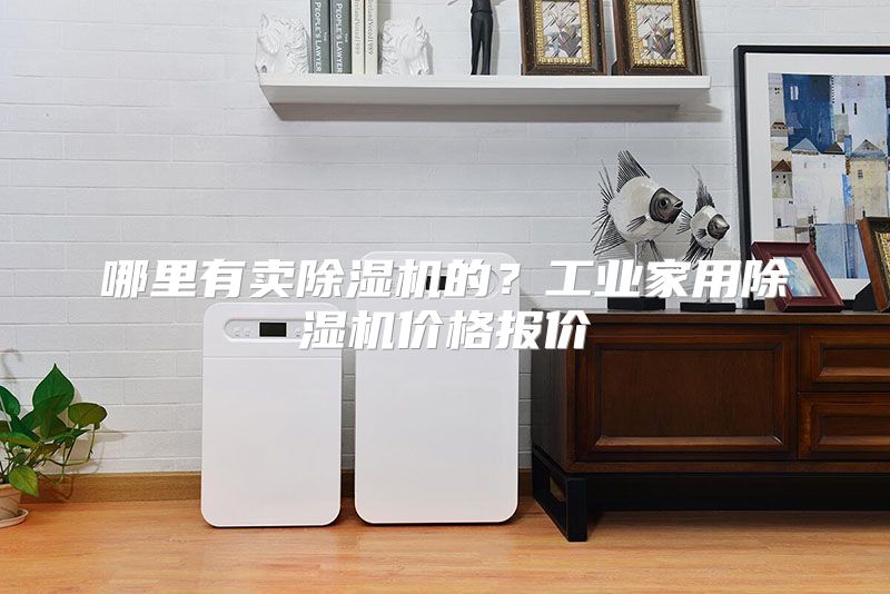 哪里有卖除湿机的？工业家用除湿机价格报价