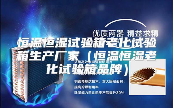 恒温恒湿试验箱老化试验箱生产厂家（恒温恒湿老化试验箱品牌）