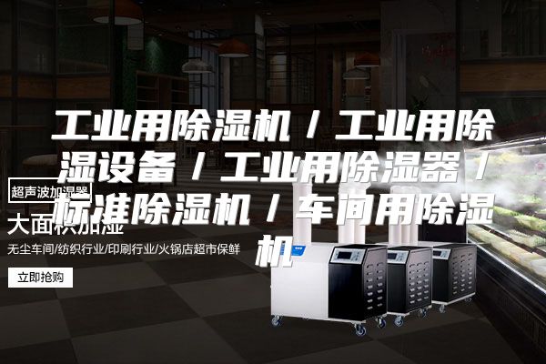 工业用除湿机/工业用除湿设备/工业用除湿器/标准除湿机/车间用除湿机