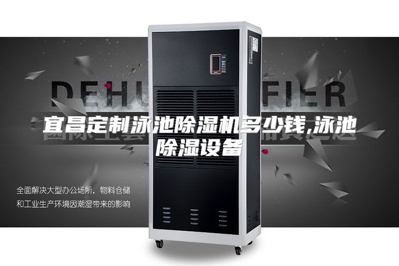 宜昌定制泳池除湿机多少钱,泳池除湿设备