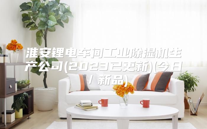 淮安锂电车间工业除湿机生产公司(2023已更新)(今日／新品)