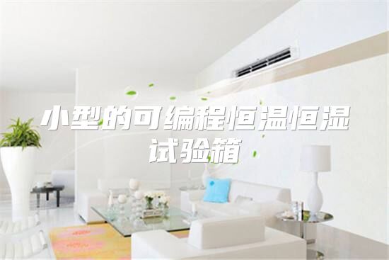 小型的可编程恒温恒湿试验箱