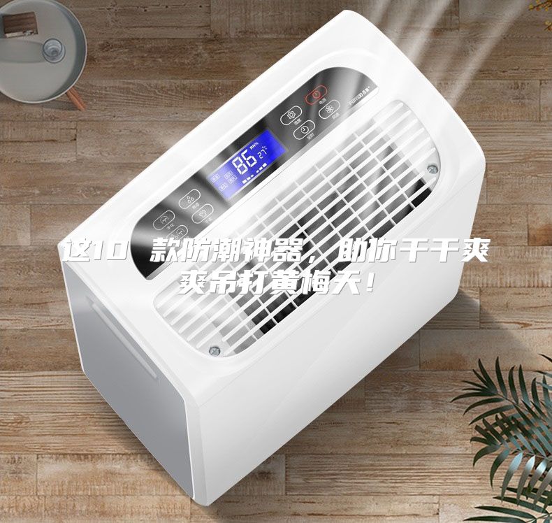 这10 款防潮神器,助你干干爽爽吊打黄梅天!