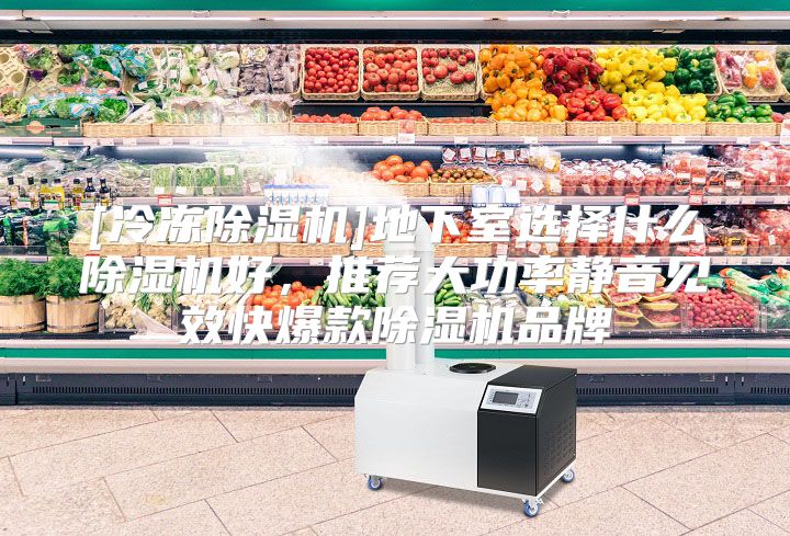 [冷冻除湿机]地下室选择什么除湿机好，推荐大功率静音见效快爆款除湿机品牌