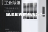 除湿机真的有用吗？？