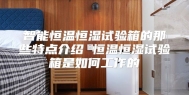 智能恒温恒湿试验箱的那些特点介绍 恒温恒湿试验箱是如何工作的