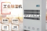 家用除湿机能解决哪些问题？