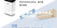 冷库用工业除湿机 低温冷库专用除湿机