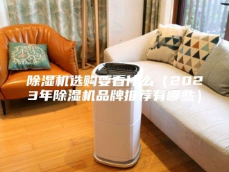 企业新闻除湿机选购要看什么（2023年除湿机品牌推荐有哪些）