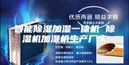 智能除湿加湿一体机 除湿机加湿机生产厂家