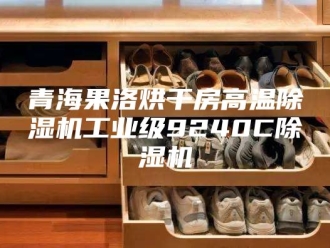 企业新闻青海果洛烘干房高温除湿机工业级9240C除湿机